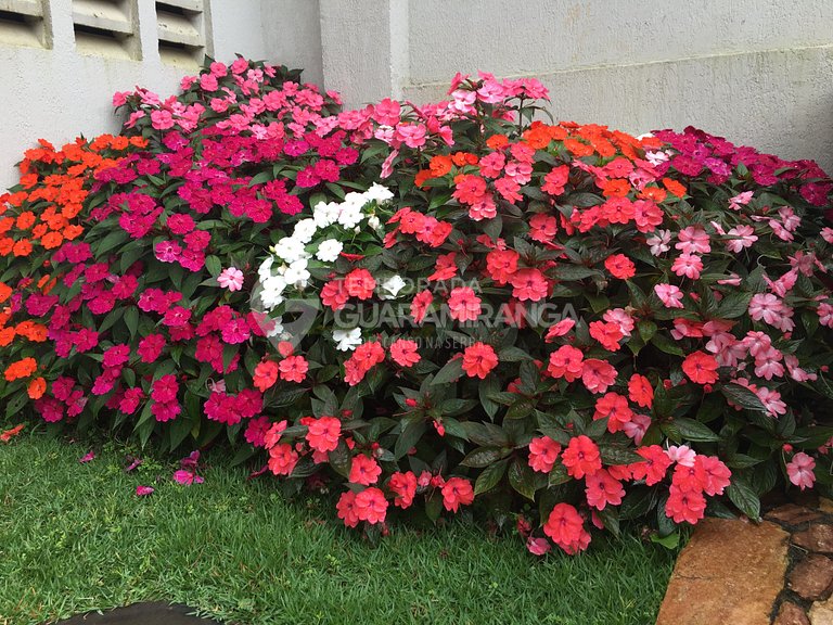 Apartamento no Centro de Guaramiranga - (207 Itaúna II)